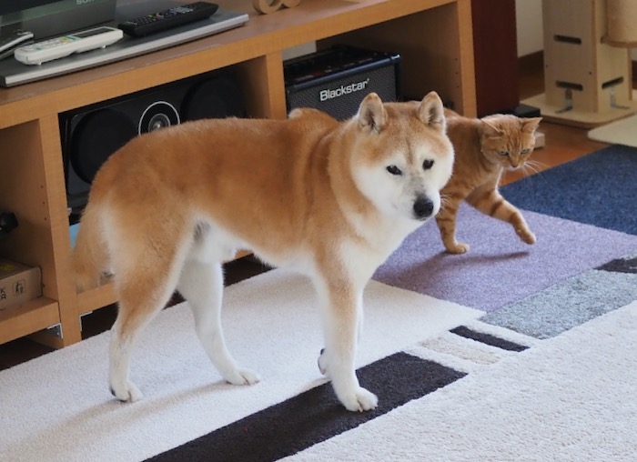 10日ブログ１