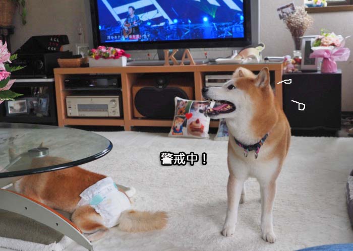 6日夜ブログ2