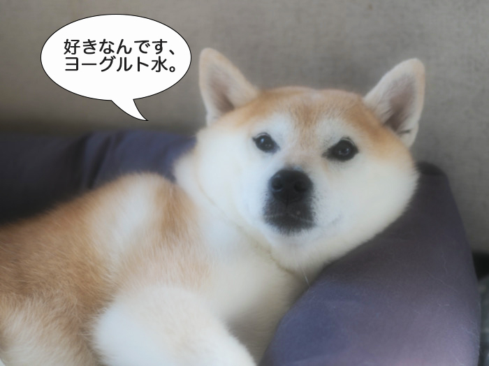 2日夜ブログ２