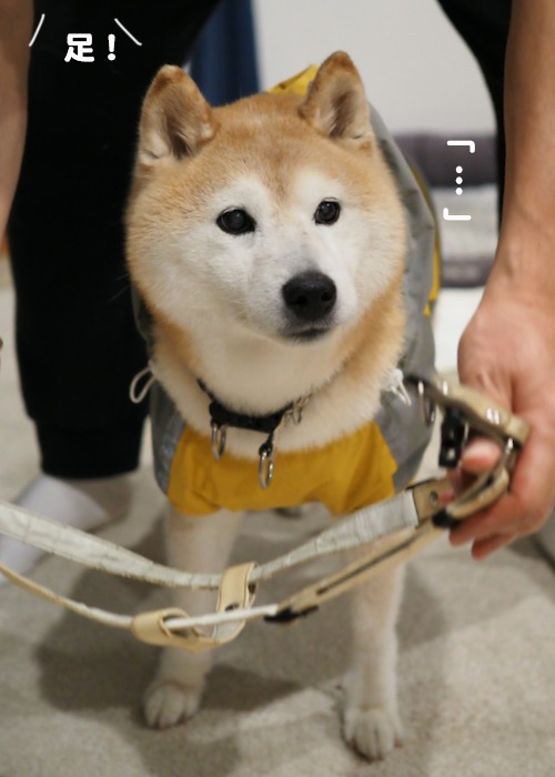 17日夕ブログ2