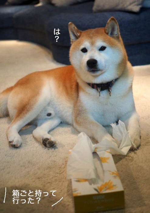 10日夕ブログ９