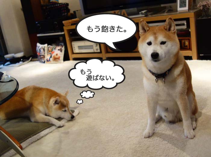 11日夜ブログ２