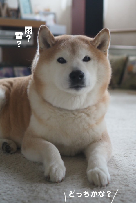 5日ブログ４