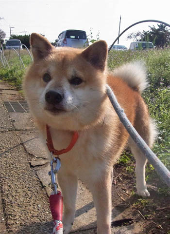 13日ブログ5.jpg