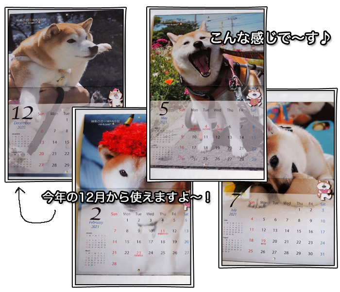 29日ブログ４