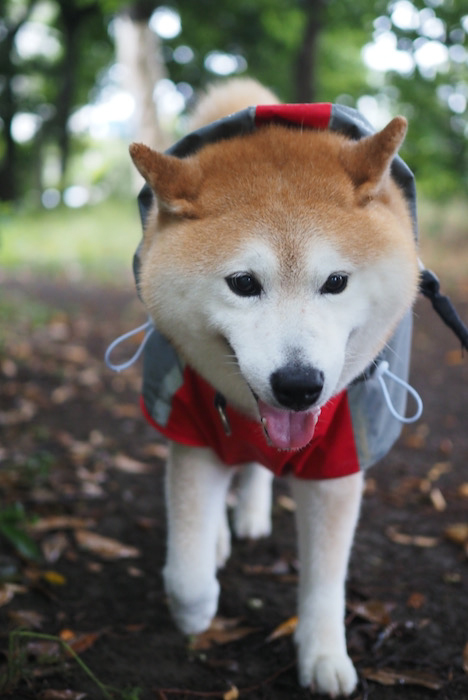 6日ブログ２