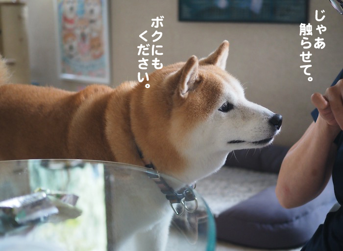 18日夕ブログ11