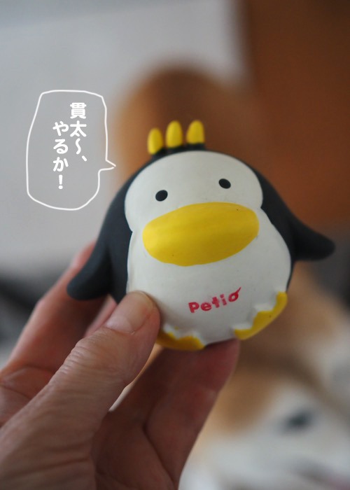 28日夕ブログ１
