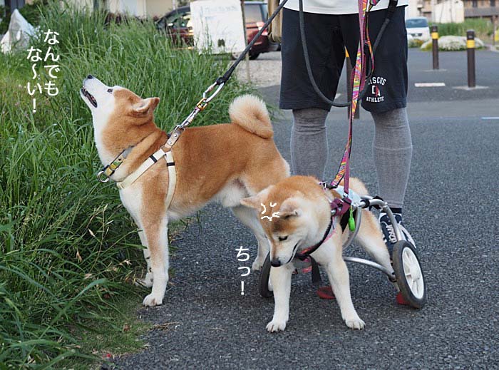 16日ブログ５