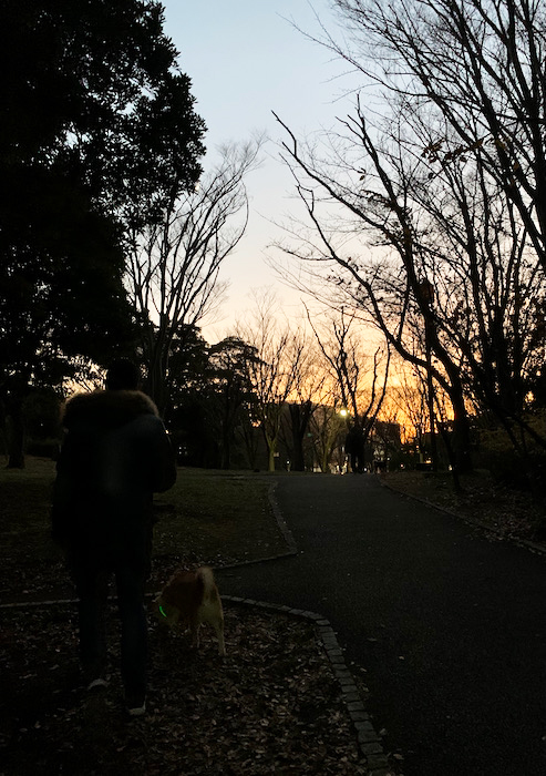 27日夕ブログ１４