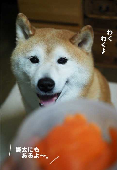 30日夜ブログ4