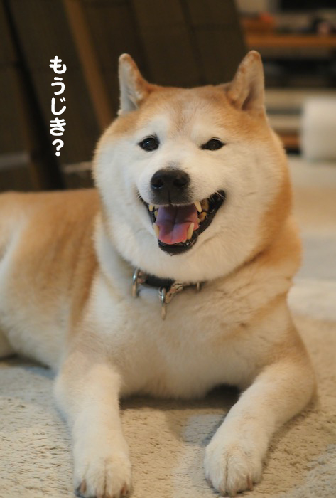 9日夕ブログ２