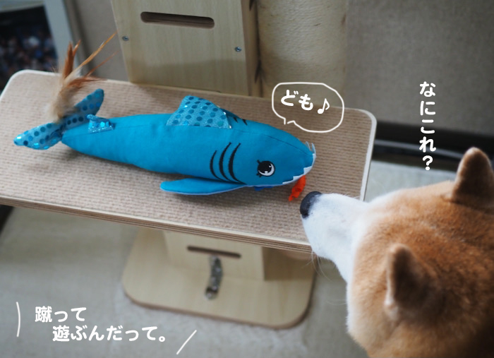 24日夕ブログ７