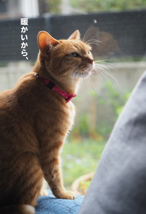 2日夕ブログ２