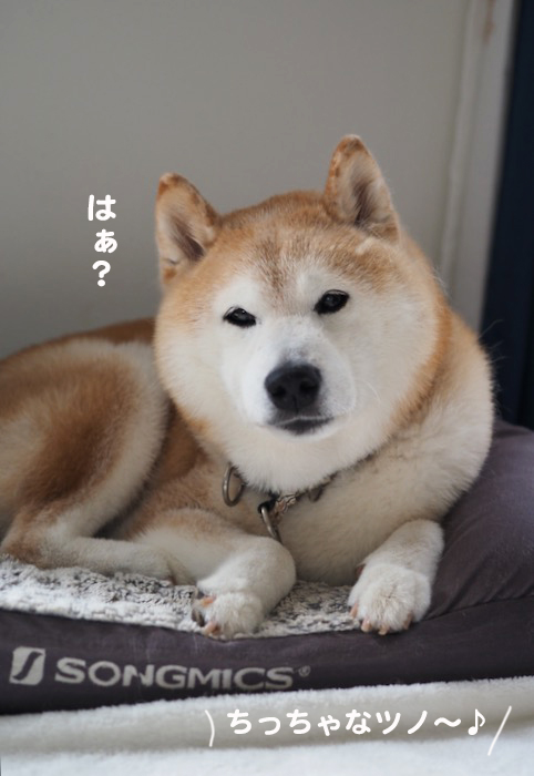 15日ブログ３