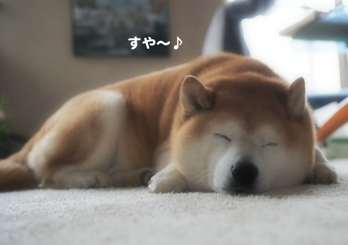 23日夕ブログ２