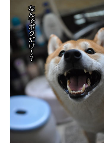 29日ブログ2.jpg