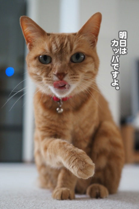 20日夕ブログ５