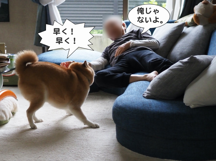 5日夕ブログ６