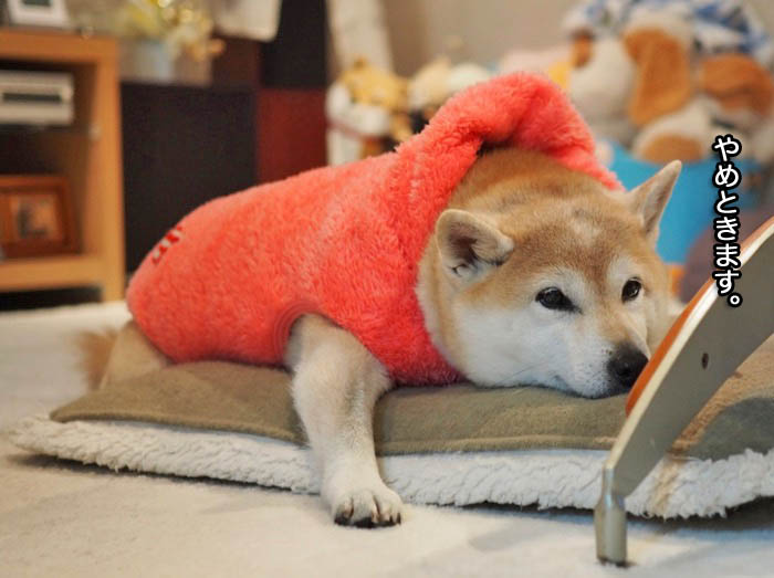 12日夜ブログ６