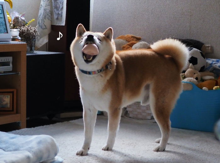 22日夜ブログ４