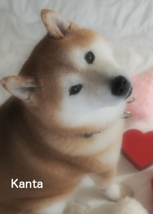 14日ブログ４