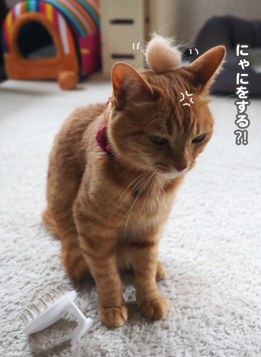 23日夕ブログ６