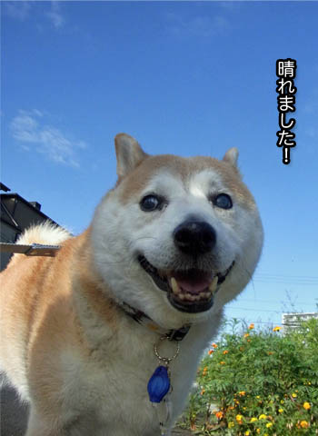 24日ブログ2.jpg