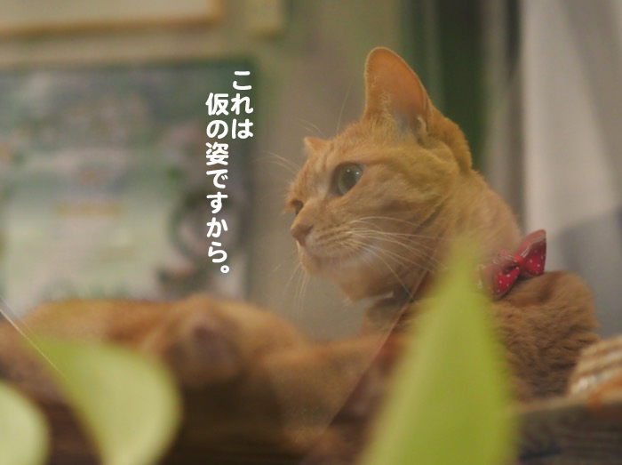6日夕ブログ８