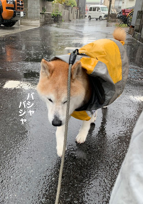10日夕ブログ４