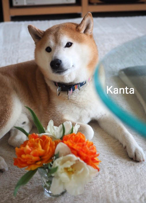 8日ブログ4