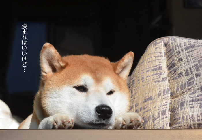 20日ブログ7