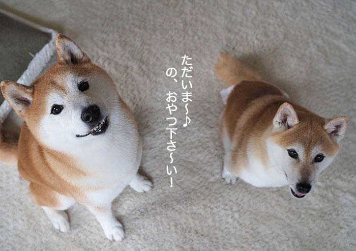 4日ブログ１０