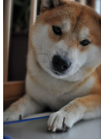28日ブログ14.jpg