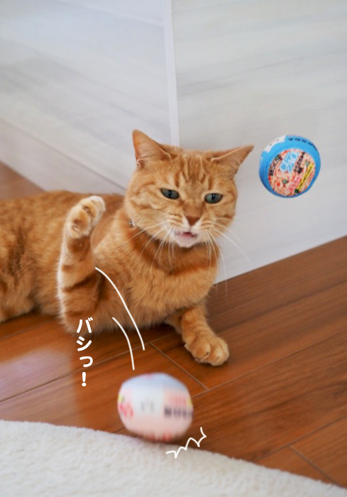 8日夕ブログ１３