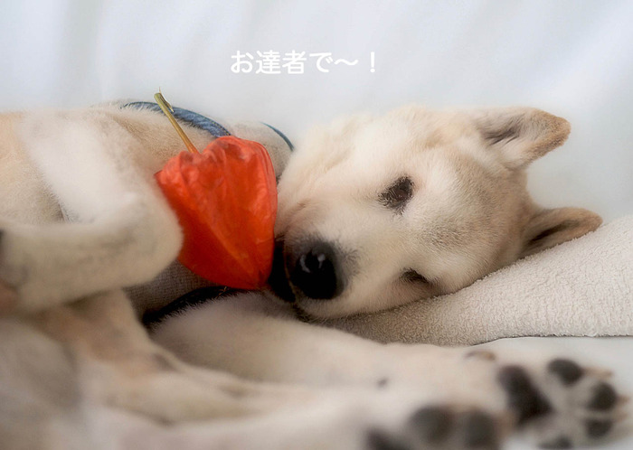 14日ブログ１３