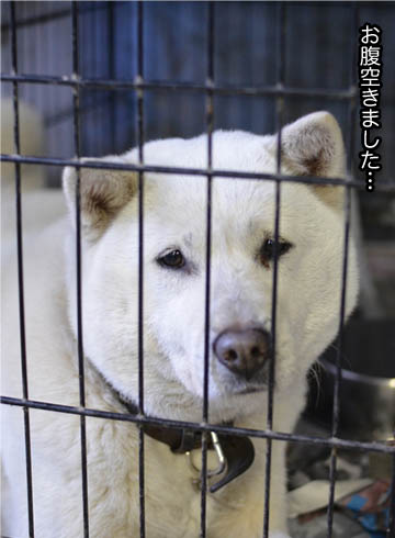 24日ブログ4.jpg