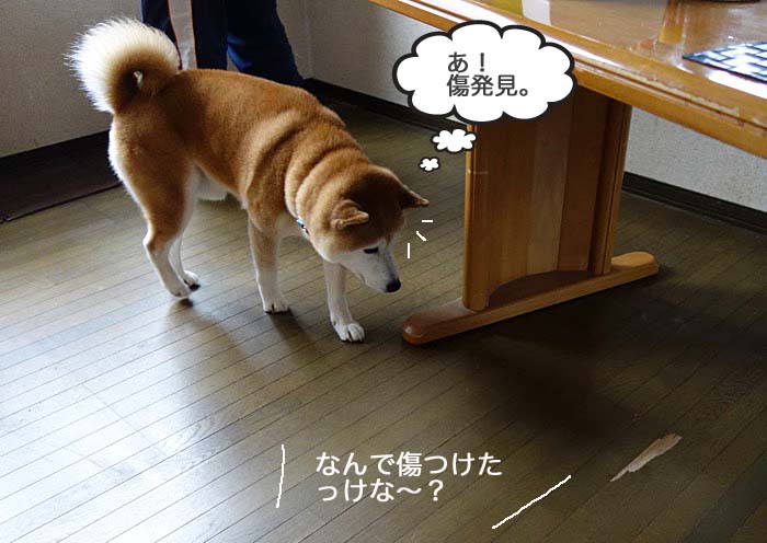 11日ブログ４