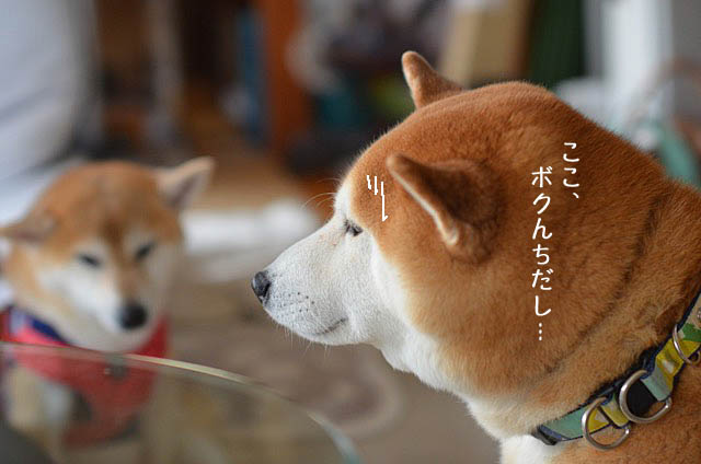29日ブログ10