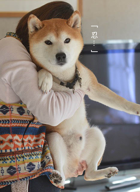 21日ブログ4