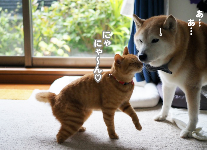 24日夕ブログ４