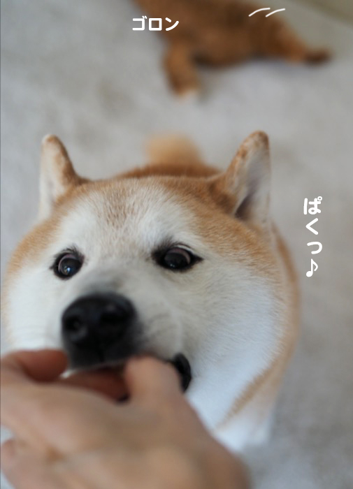 12日夕ブログ9