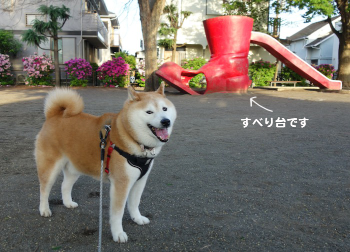 19日夕ブログ２