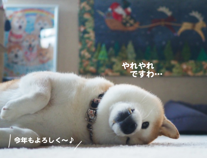 9日ブログ７