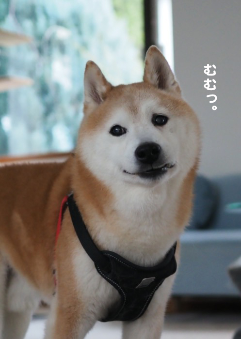 18日夕ブログ４