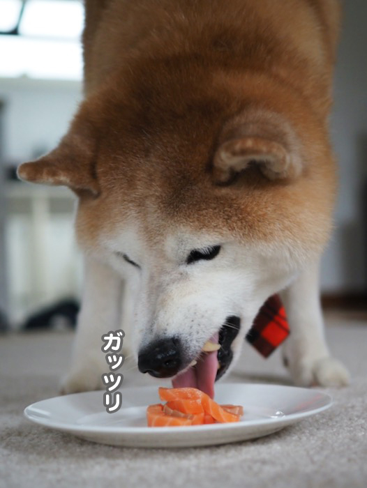 23日ブログ５
