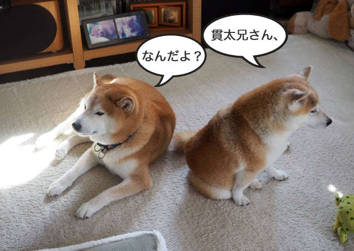 13日夜ブログ２