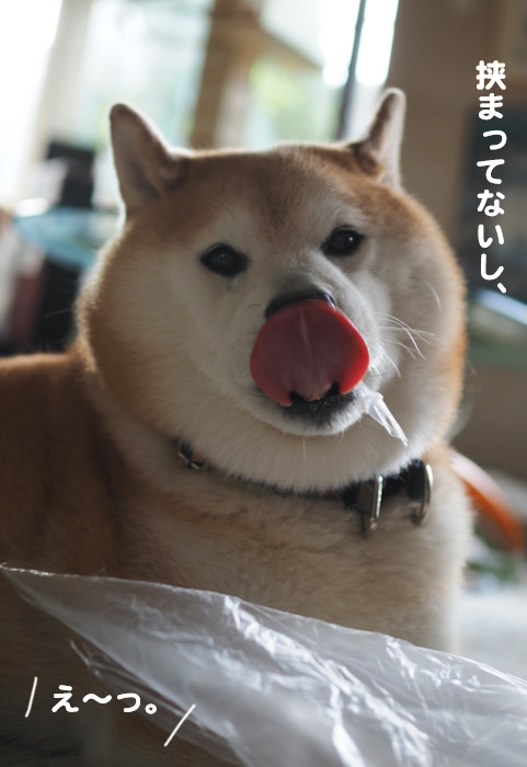 16日夕ブログ５