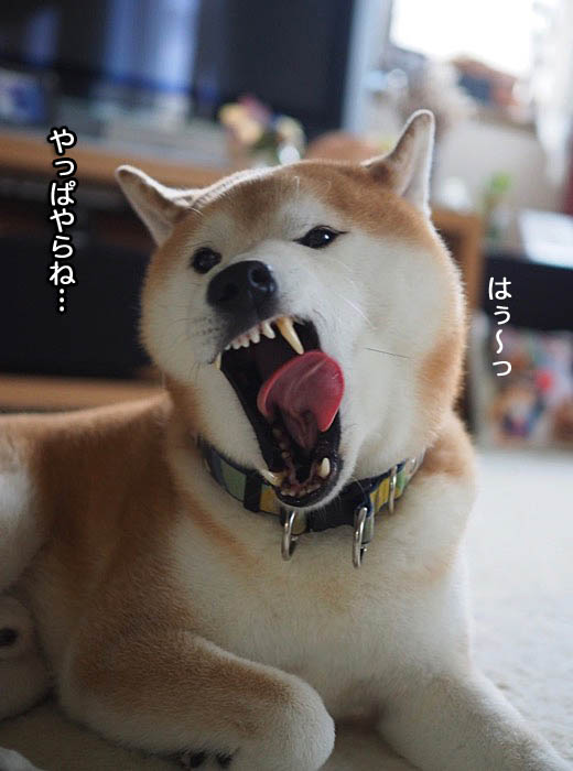 18日ブログ２