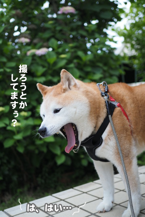31日夕ブログ５
